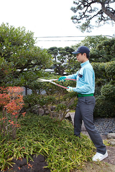 お庭のお手入れの様子