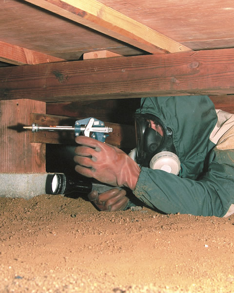 ネズミ駆除の様子