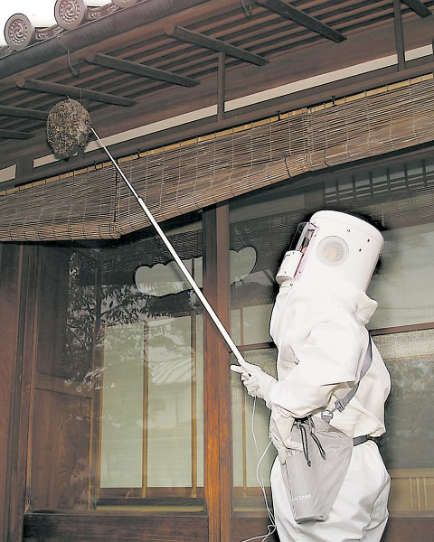 ハチ駆除の様子