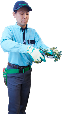 お庭のお手入れの様子