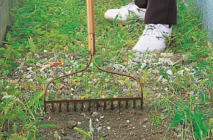 雑草処理の様子