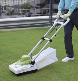 芝生のお手入れの様子