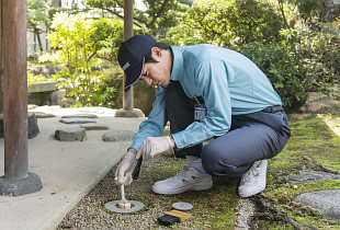 シロアリ駆除の様子
