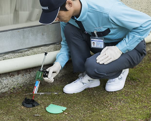 トラップ設置の様子