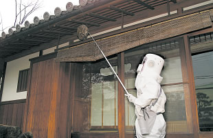 ハチ駆除の様子